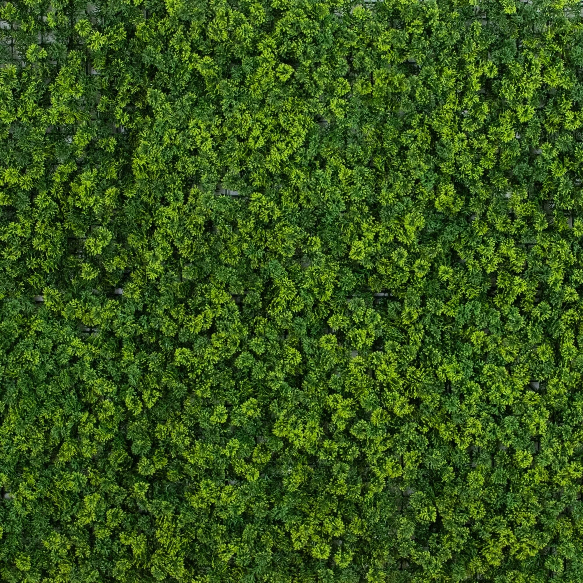 20” x 20” UV Resistant Irish Green Meadow Artificial Living Wall Panels (Indoor/Outdoor) - Set of 6