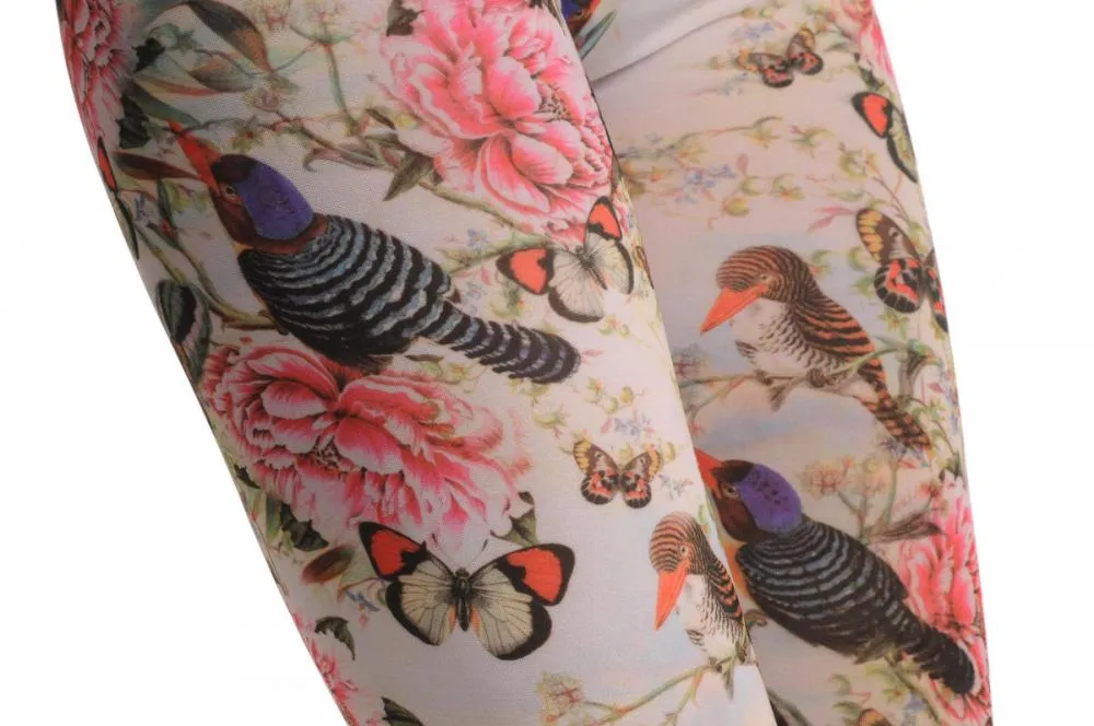 Beautiful Wild Birds