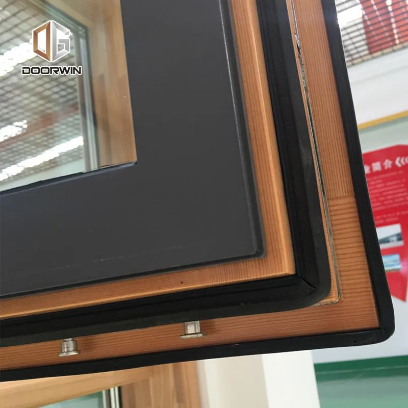 DOORWIN 2021Hot sale solid wood window curtain wall