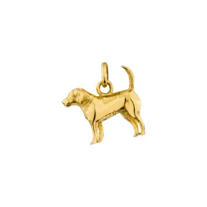 Year of the Dog