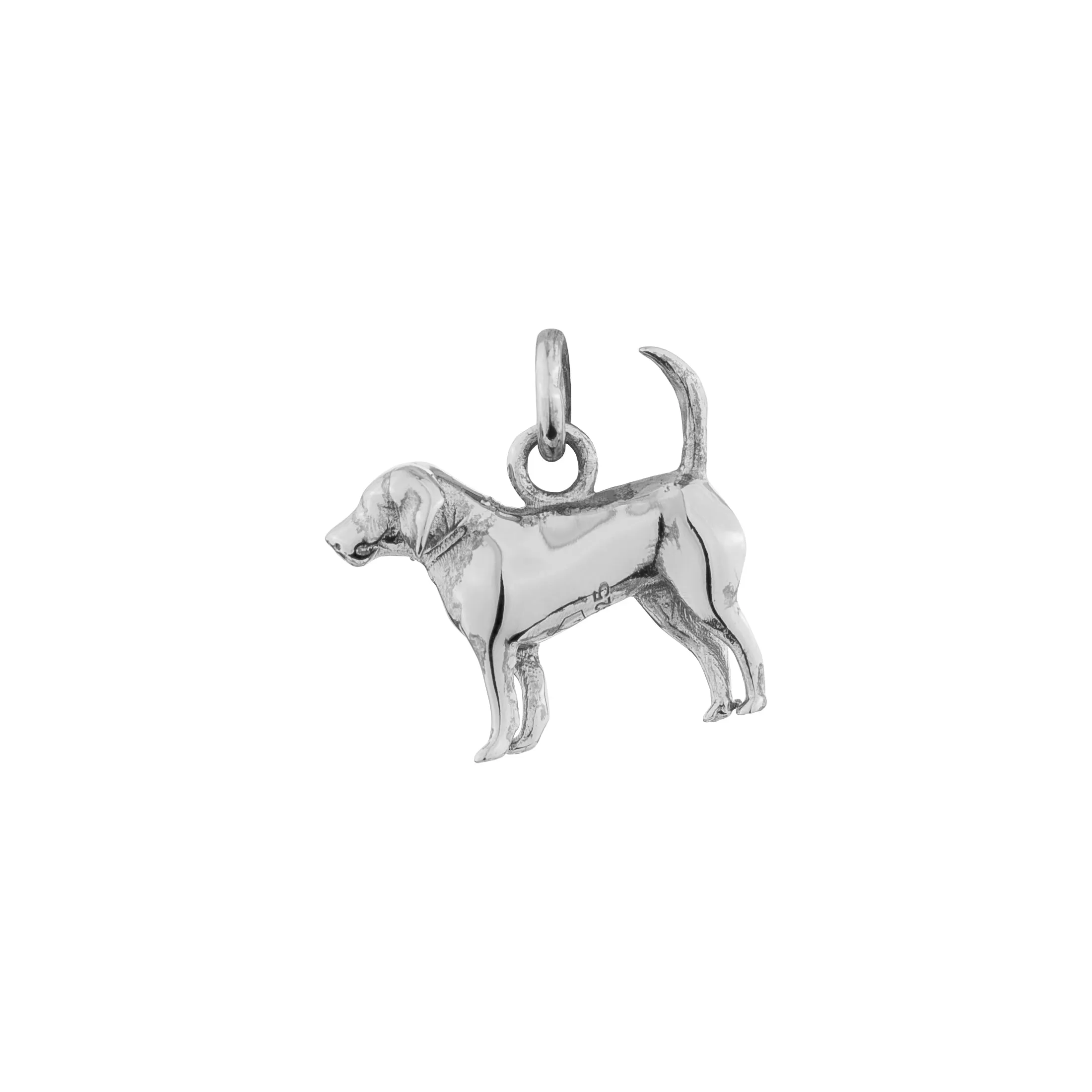 Year of the Dog