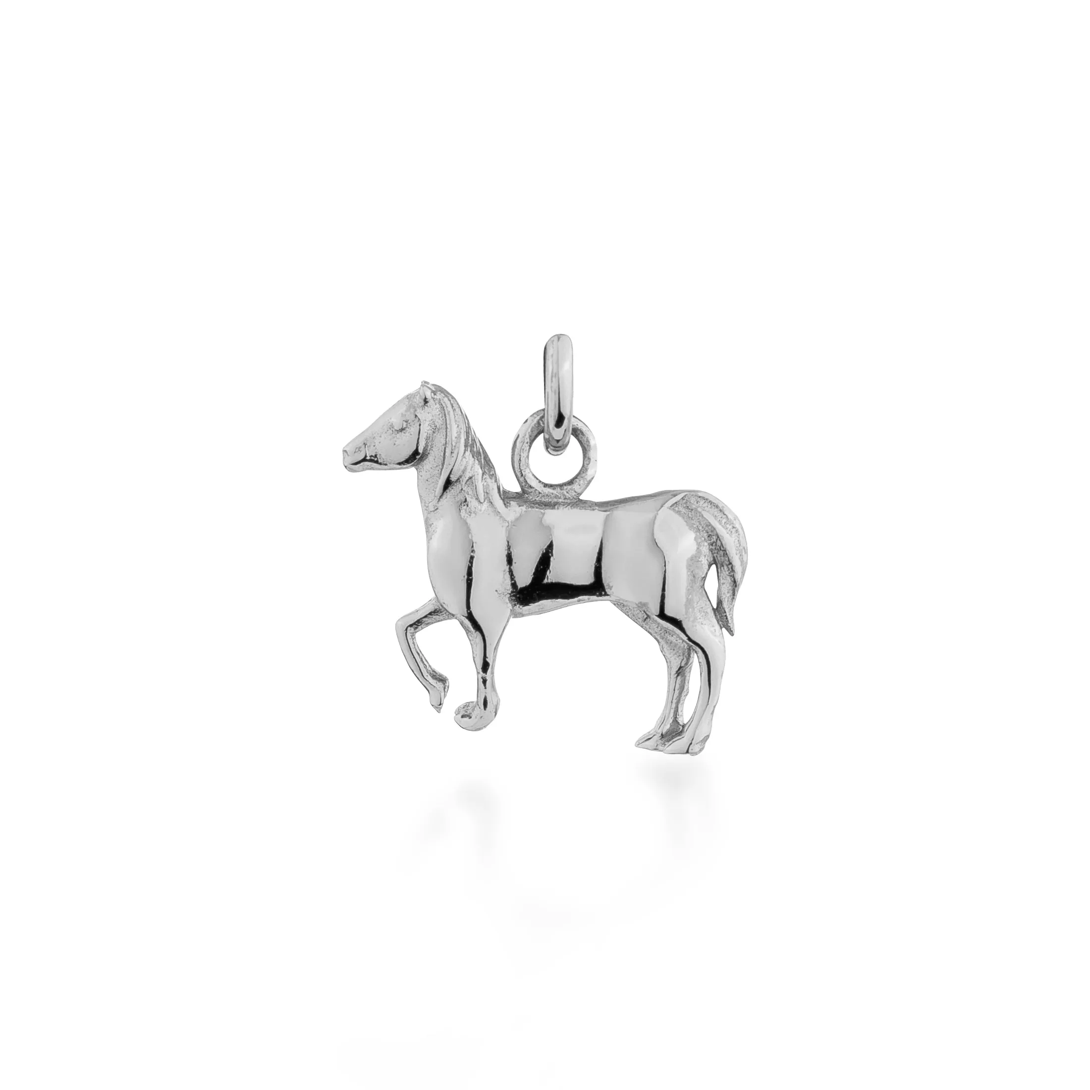 Year of the Horse