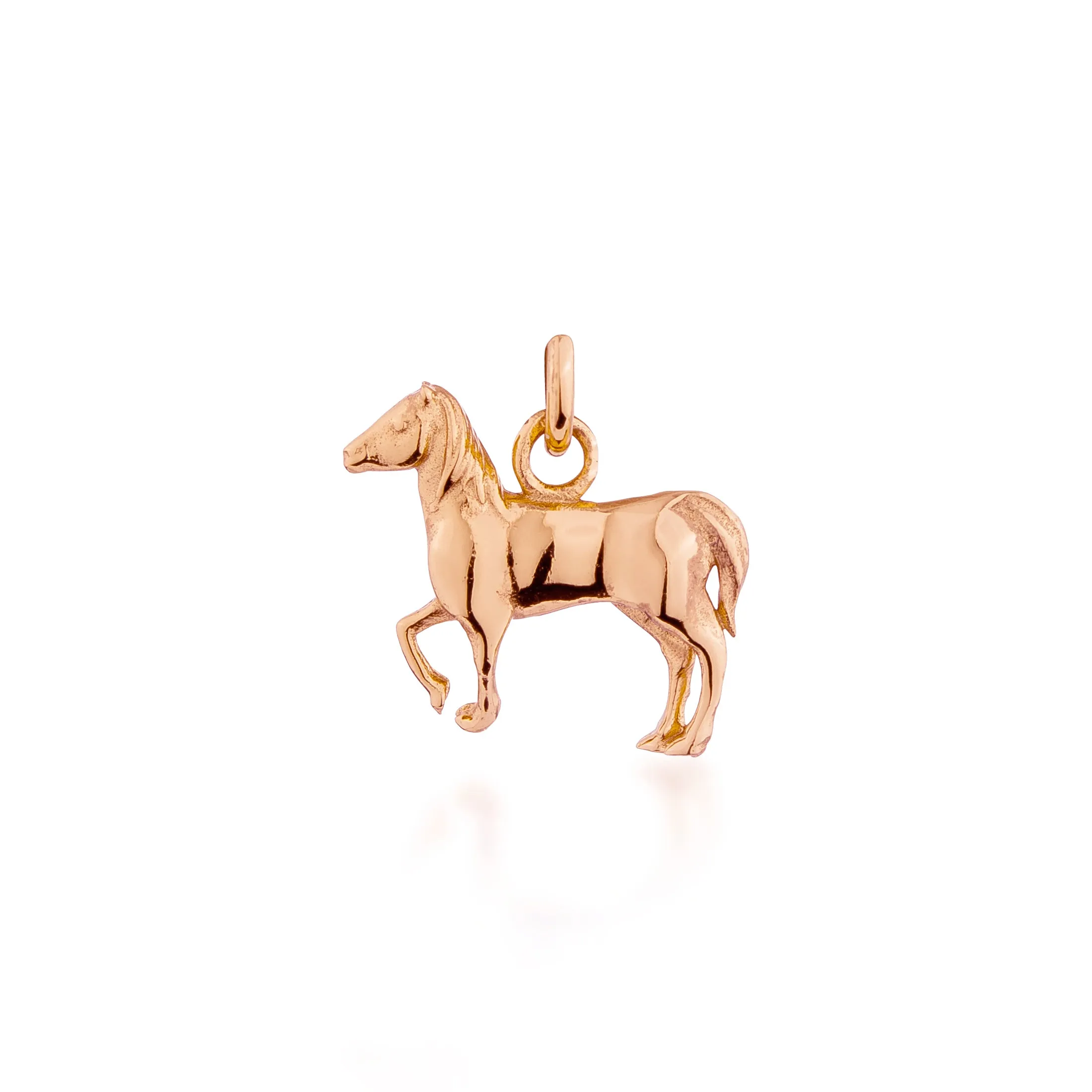 Year of the Horse